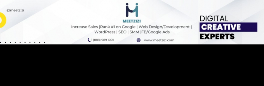 Meetzizi Digital Marketing Agency Cover Image