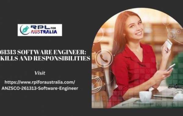 261313 Software Engineer: Skills and Responsibilities