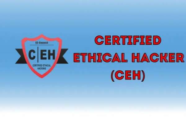 From Beginner to Certified Ethical Hacker: CEH Classes in Pune