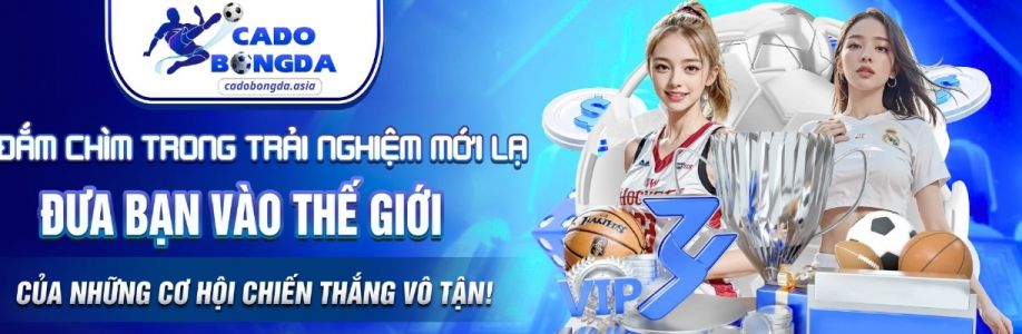 Cá độ bóng đá Nền Tảng Cá C Cover Image