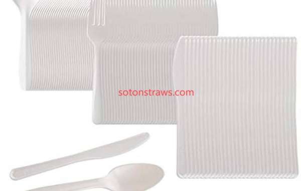 From Crisis to Creativity: Eco-Friendly Cutlery in Humanitarian Innovation