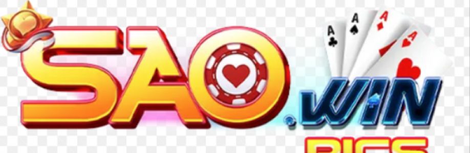 saowin Cover Image
