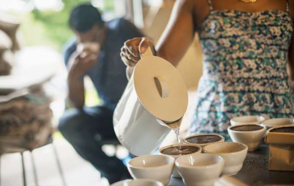 The Leading Reasons Why People Are Successful Within The Tassimo Models Industry
