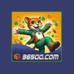 365gg us Profile Picture