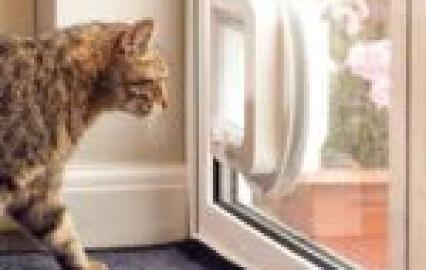 An Easy-To-Follow Guide To Choosing The Right Trained Cat Flap Fitter