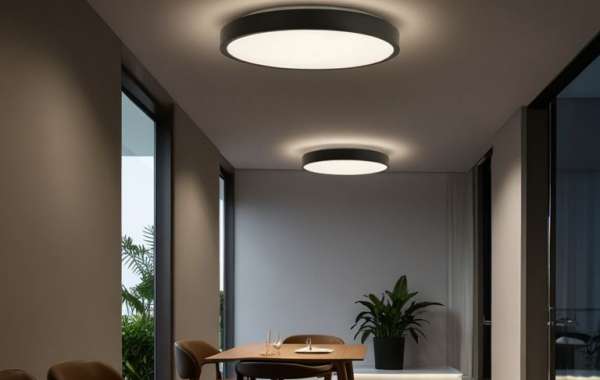 LED Ceiling Light Manufacturing Project Cost 2025: Plant Setup and Industry Trends