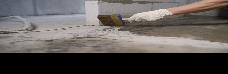 Mould Medico Cover Image