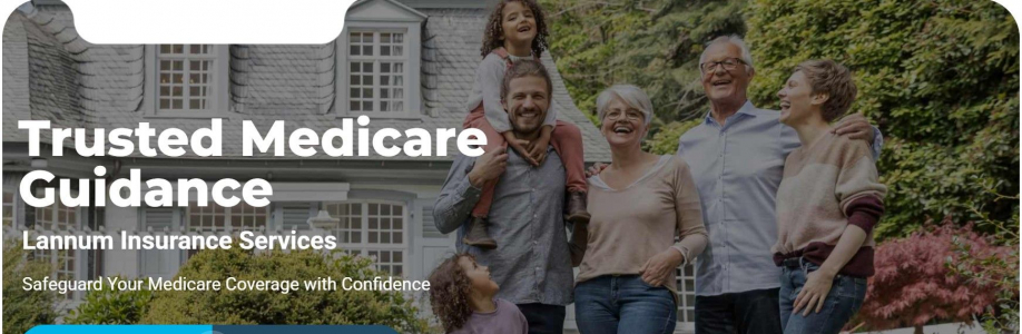 Lannuminsurance services Cover Image