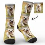 myface socksuk Profile Picture
