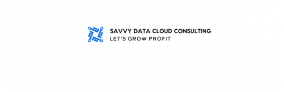 Savvy Data Cloud Consulting Cover Image