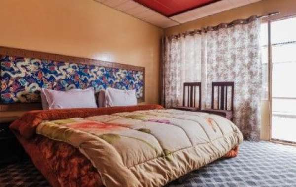 Best Places to Stay Near Pangong Lake: Luxury Camps, Cottages & Stargazing Experiences
